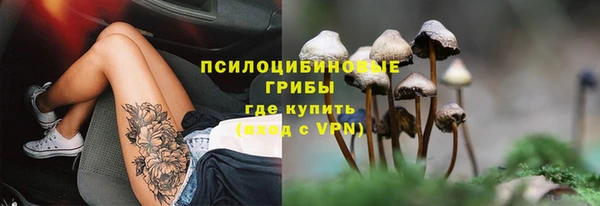 альфа пвп Медвежьегорск