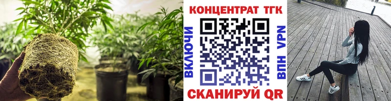 Дистиллят ТГК концентрат  Медынь 