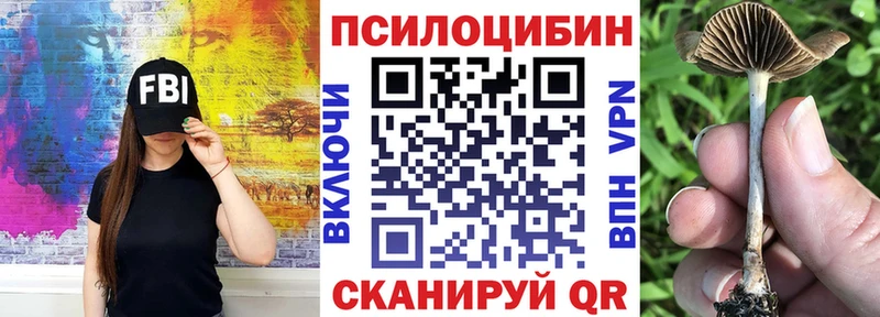Галлюциногенные грибы Psilocybe  купить   Медынь 